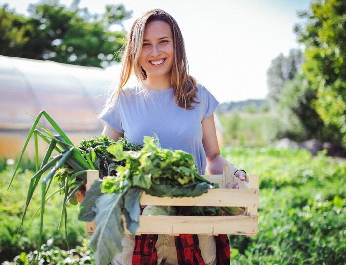 Eine visuelle Darstellung moderner Landwirtschaft mit Fokus auf Digitalisierung. Das Bild zeigt ein Netz aus Verbindungslinien über Erdbeerpflanzen und kombiniert verschiedene kleinere Bilder.
